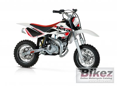 2010 Beta Minicross R10 photo